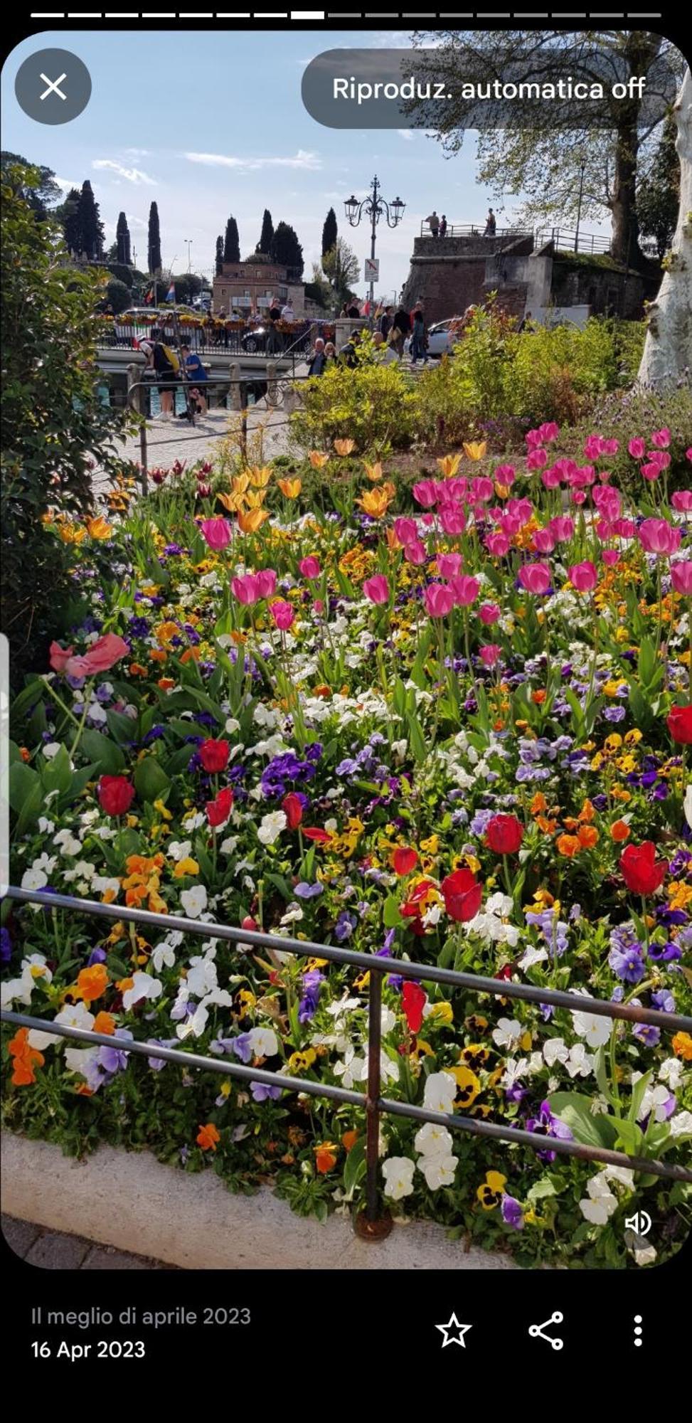 Rosy Appartamento Peschiera del Garda